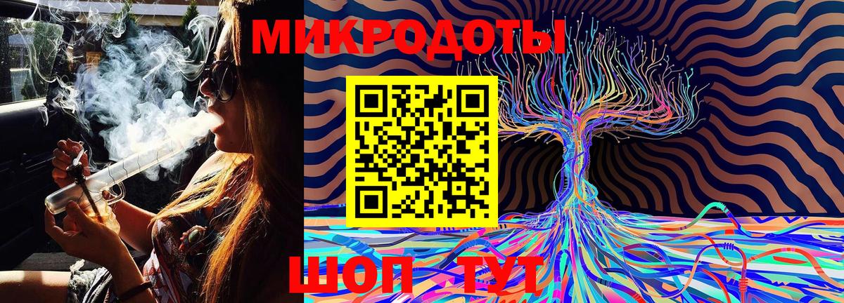 Галлюциногенные грибы Psilocybine cubensis Елец